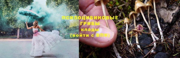 мет Алзамай