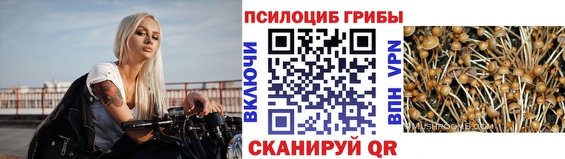 Галлюциногенные грибы Cubensis  Михайловск 