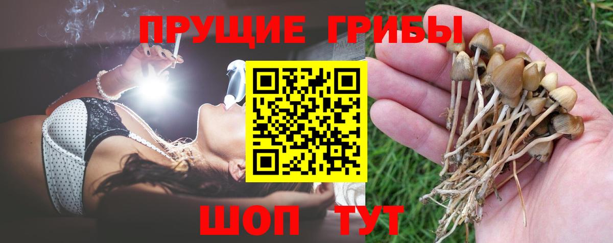 Псилоцибиновые грибы прущие грибы  Псилоцибиновые грибы мицелий  Вход с VPN  Михайловск 