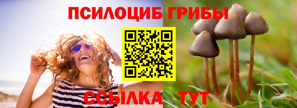 Амфетамин Михайловск